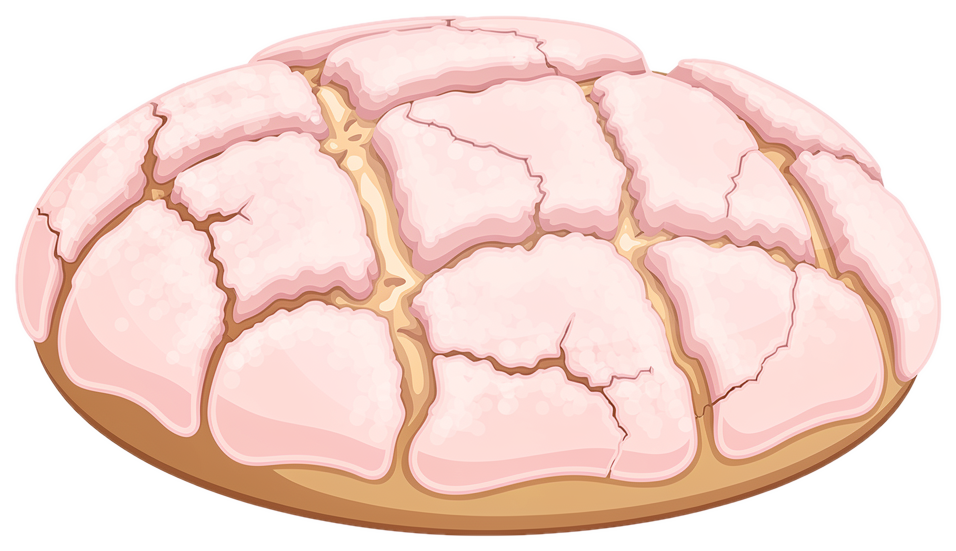 Concha rosa artesanal, nuestro pan estrella